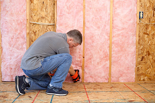 Best Insulation Air Sealing  in Theodore, AL